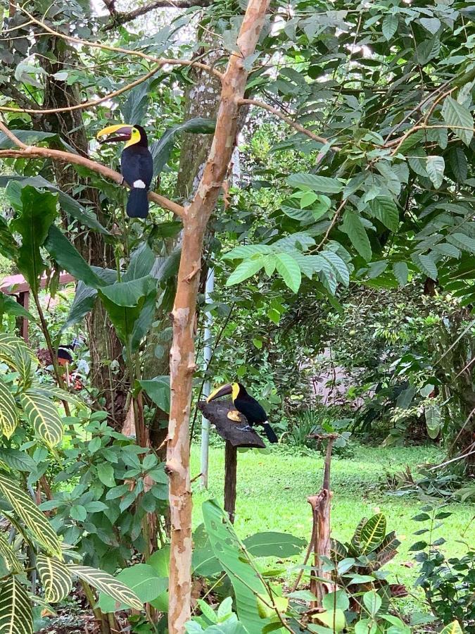 Villa Tucan La Fortuna Екстериор снимка