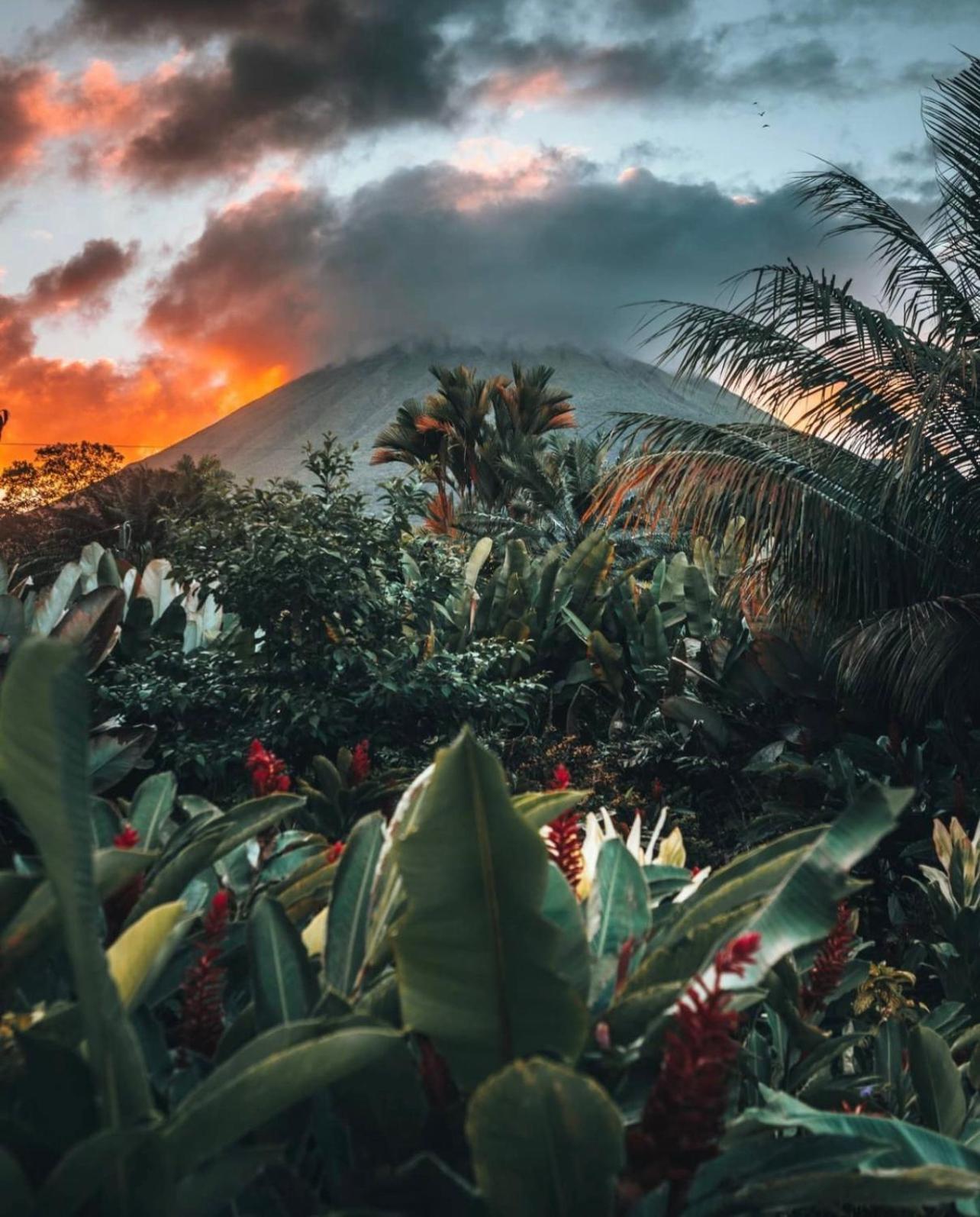 Villa Tucan La Fortuna Екстериор снимка