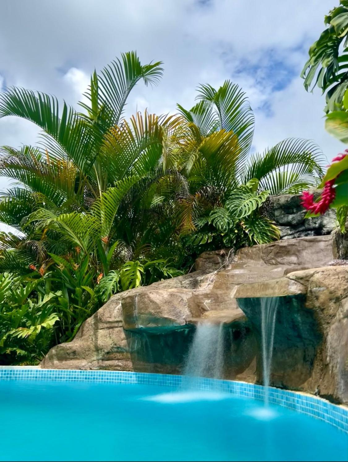 Villa Tucan La Fortuna Екстериор снимка